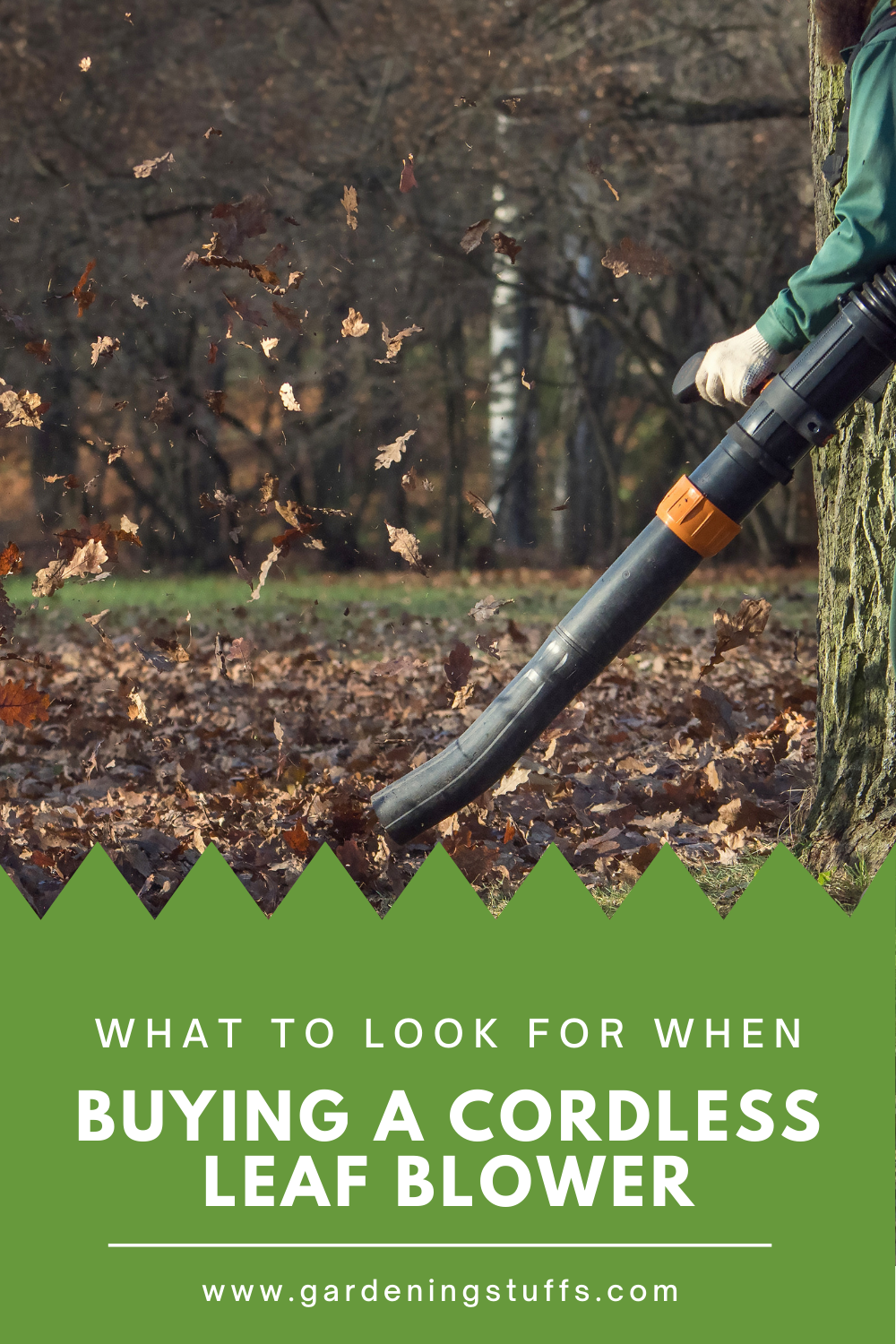 How do you know which leaf blower is the best for you when every device looks excellent? Read our buying guide to find a suitable device for you.
