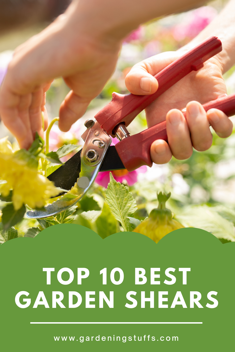 Read through our reviews and see how each pruning tool might help you with your trimming tasks. Then, learn more about the essential pruner features you need to look for using our buying guide. Let’s check the shears out.