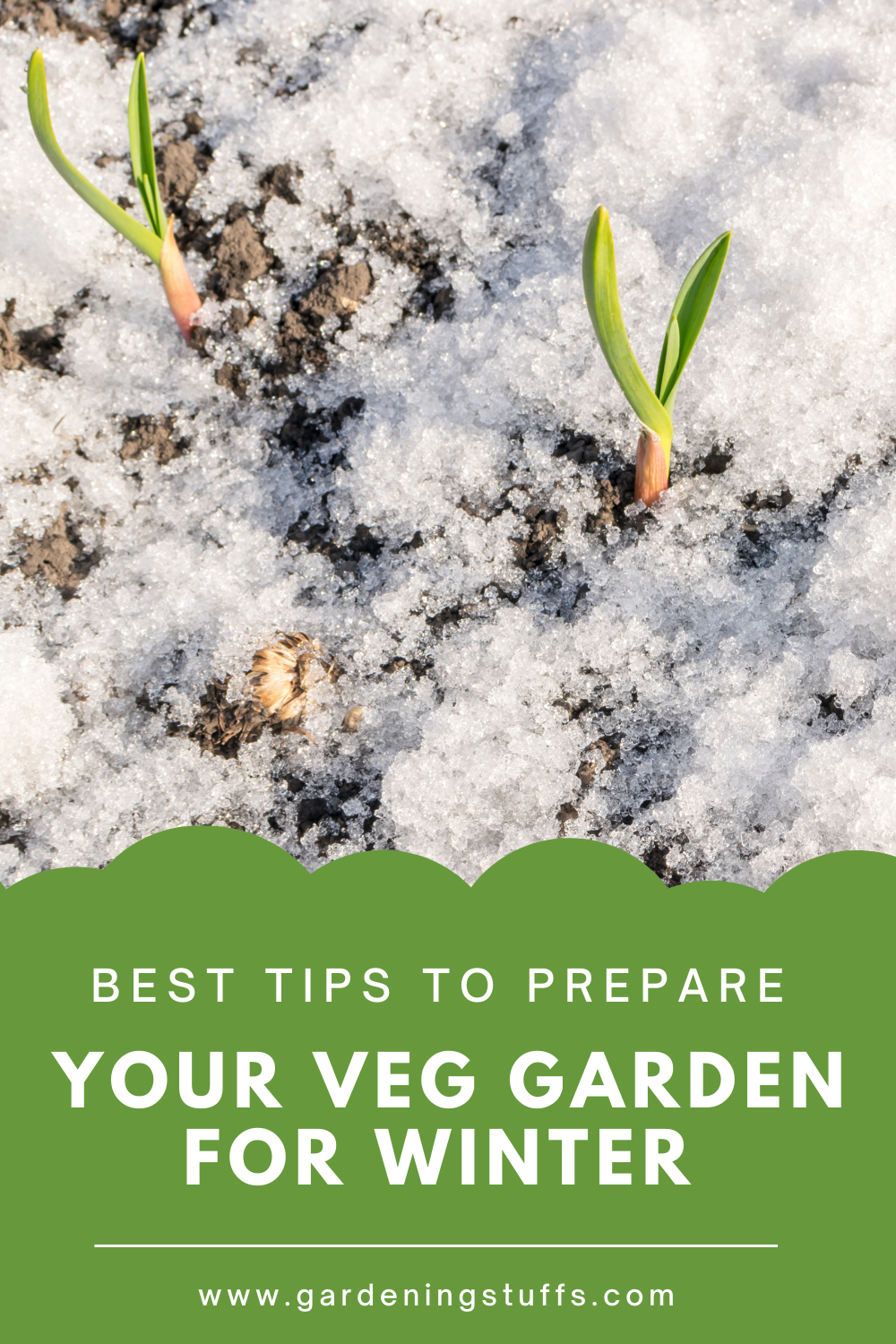 Preparing your garden for the winter may seem like an overwhelming task, especially if your garden is complete with all kinds of plants. Read on to know how you can prep your garden before winter comes, and get ahead of your spring gardening chores while others are still in a frenzy.