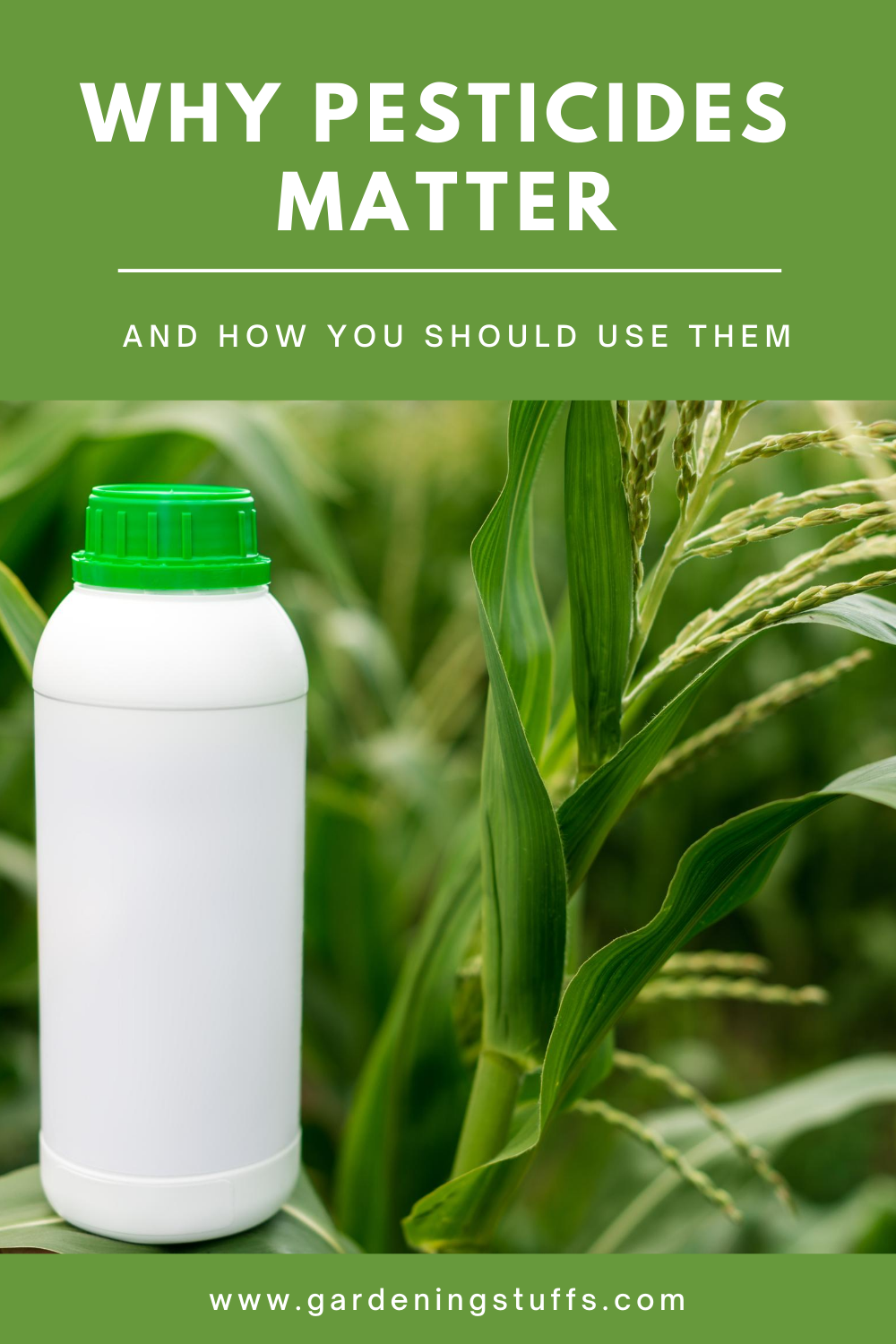 Read on and discover the many different types of pesticides, what they’re used for, the potential harm they could cause, and how you should apply them in your garden.