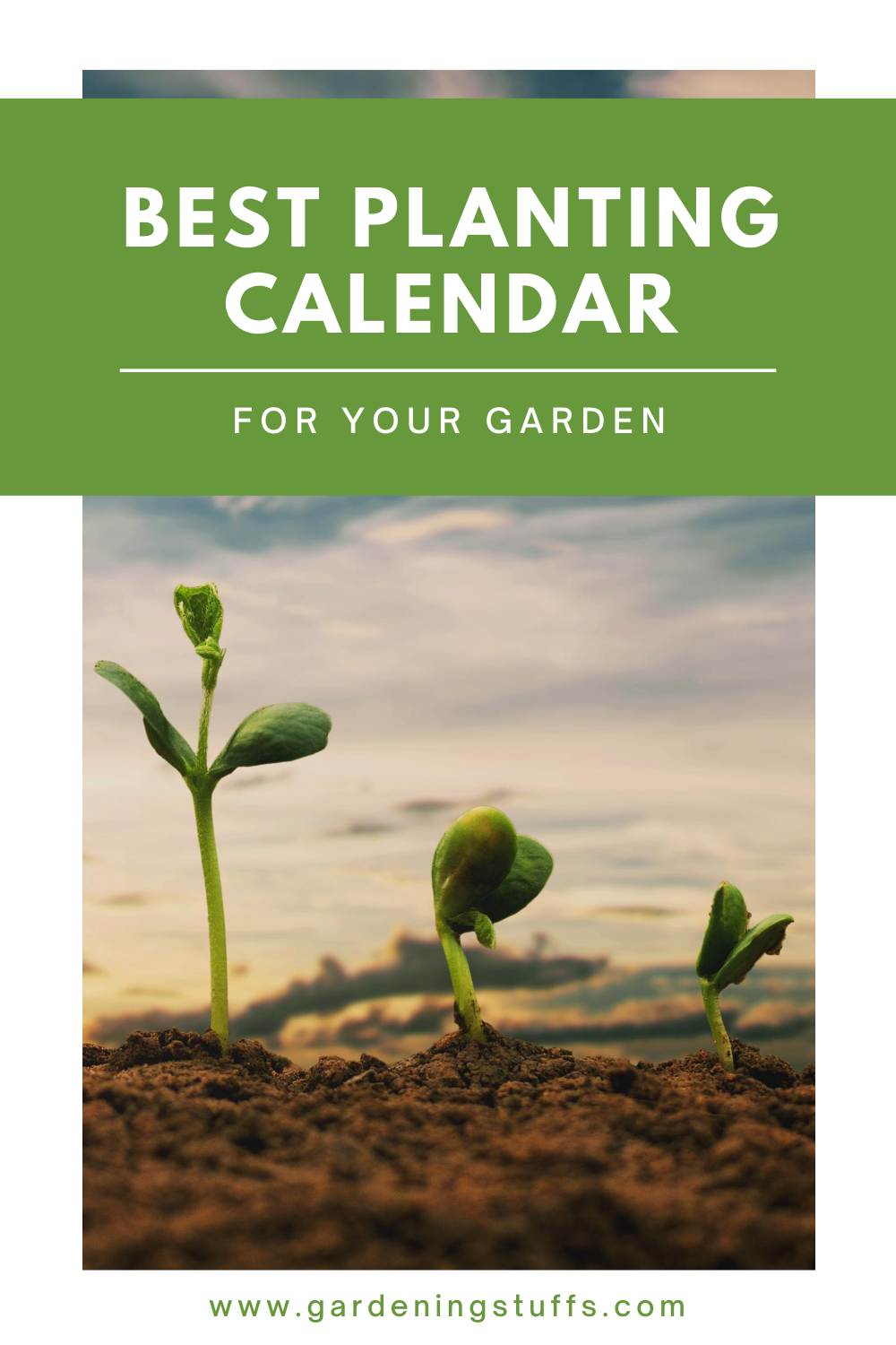 If you’re quite unsure about the kinds of plants you want to thrive in your garden this year. Check out our guide so you can start outlining your planting calendar!