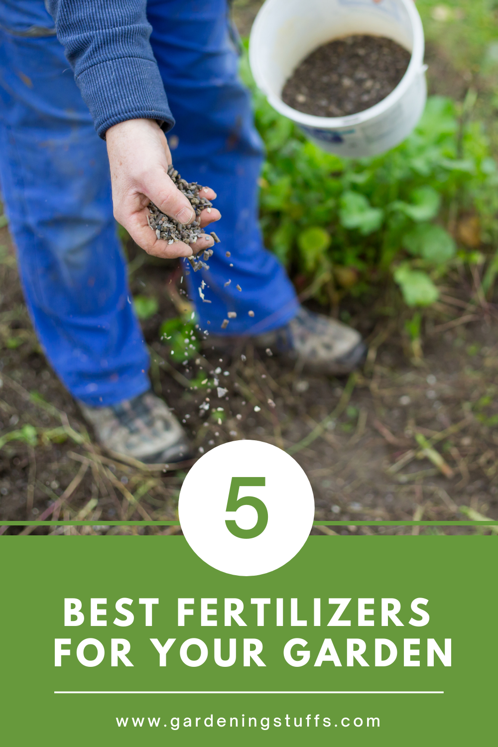Have you ever struggled to get your flowers to bloom or had plants that were not as productive as they should be? Read on and discover the best garden fertilizers, along with what to look out for.
