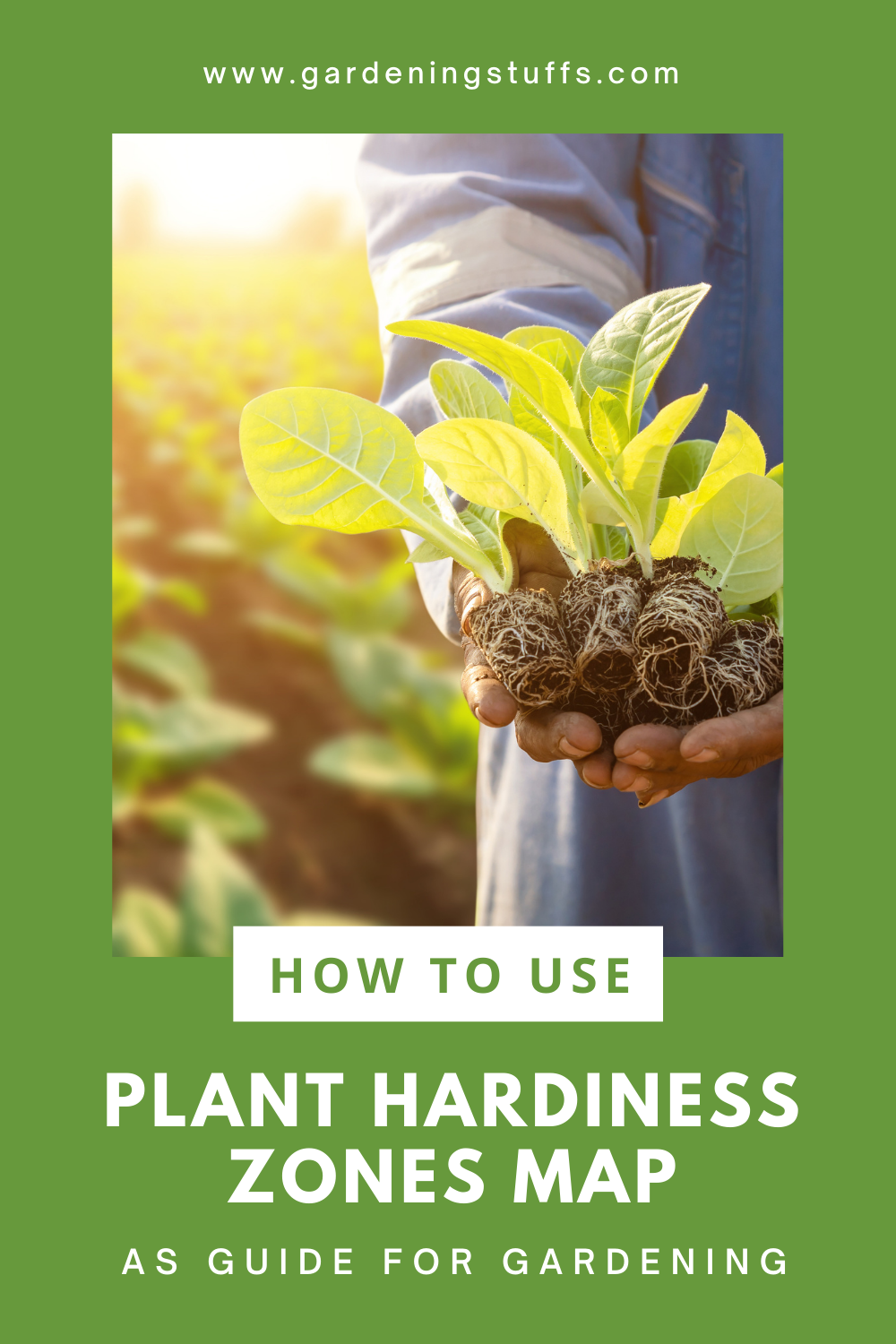 A hardiness zone is a detailed map crafted to help you grow your garden. Read on to learn more about plant hardiness zones and how you can use them to plan out your garden throughout the year.