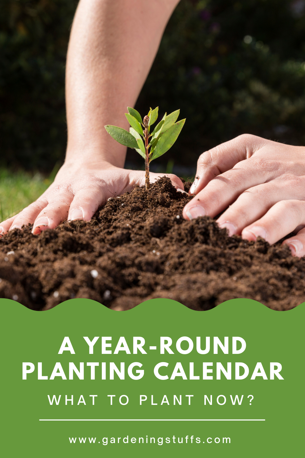 A plants flourish best if planted according to their growing season. In this article, we’ve set up the following month-to-month planting guide to help you plan which species to plant on every month of the year and grow a flourishing garden across all seasons.