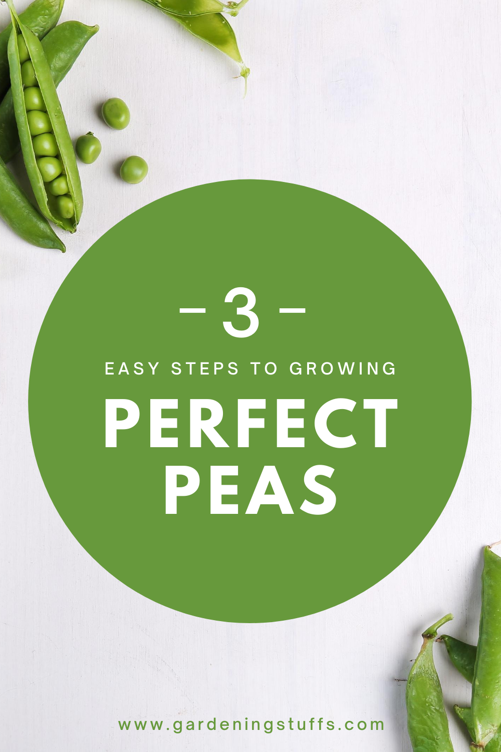 Pea plants are really easy to grow and care for. Let’s go through these 3 easy steps it takes to plant, care for and harvest your peas.