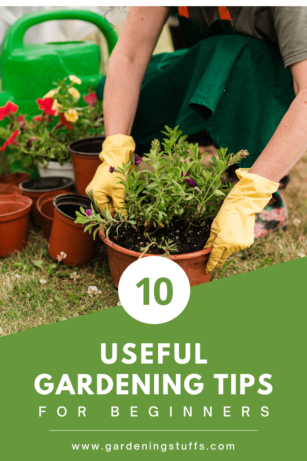 How do you get started with gardening for yourself if you don’t know much about it in the first place? Learn 10 useful gardening tips for beginners that'll help you grow your skills as a gardener and help you create your dream garden.