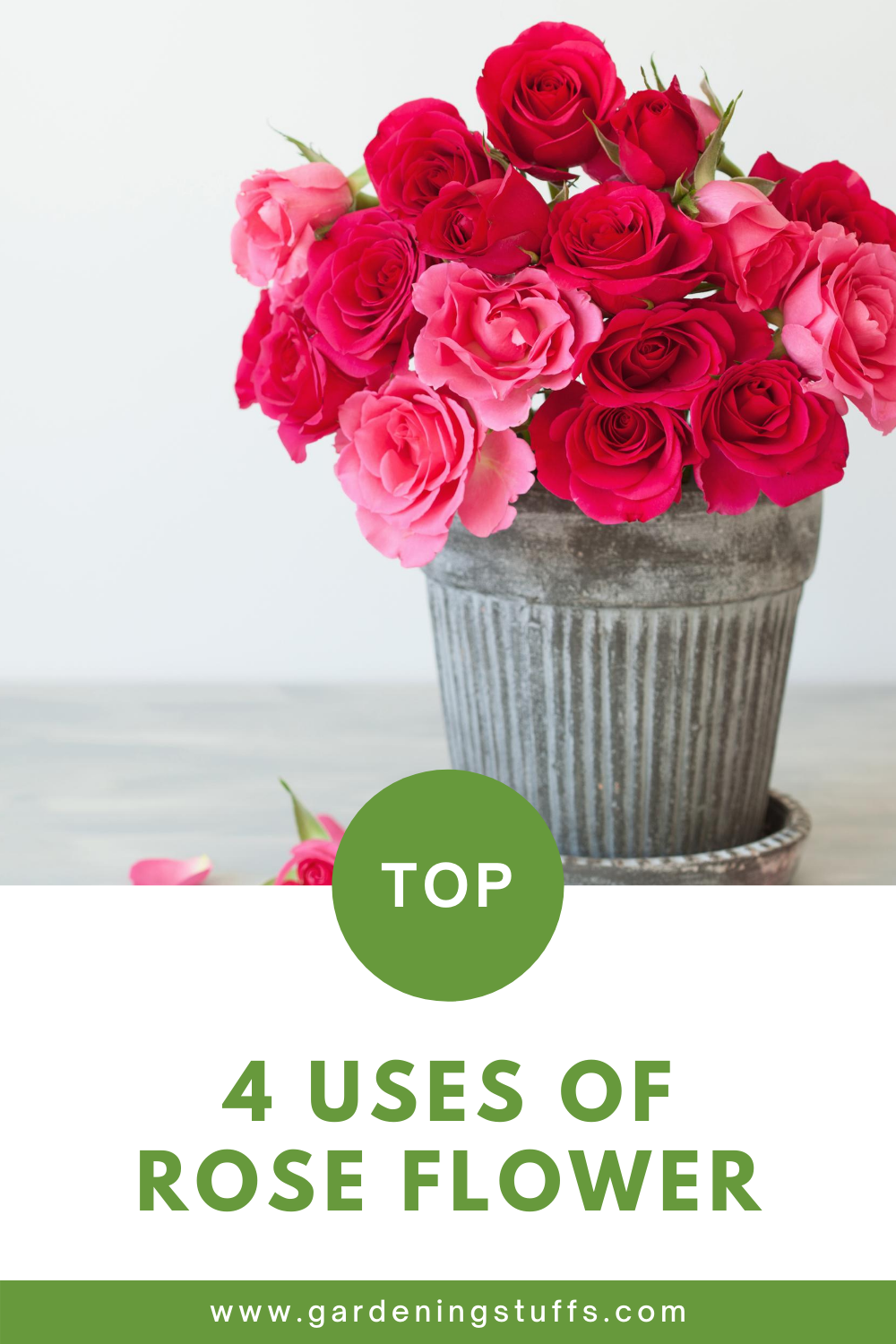 Roses are widely grown for their beauty and their pleasant smell. They can also be used to make essential oil perfumes for their sweet fragrance. Read on and discover what the uses of roses are.