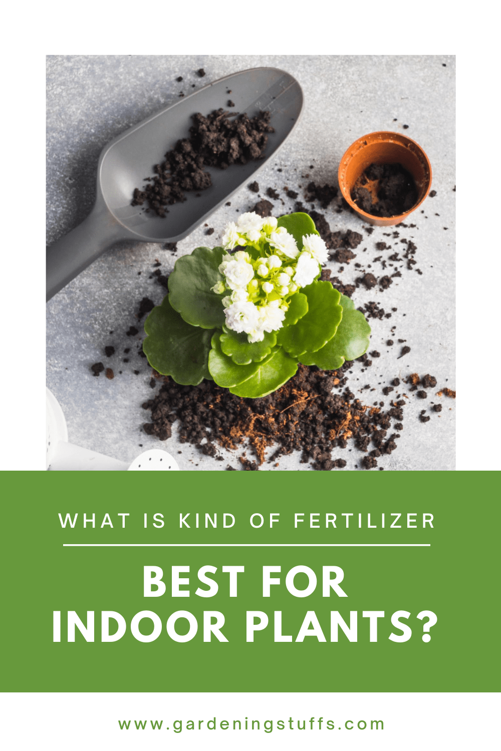There are various types of fertilizers to choose from, making it tricky to find the right one for your indoor plants. Check out some of the best fertilizers that can facilitate good growth for most indoor plants.