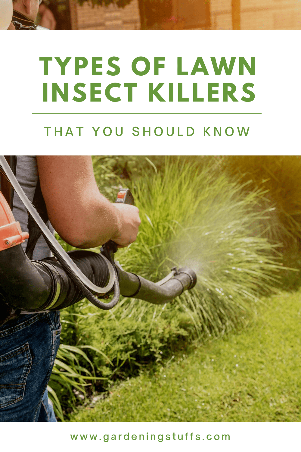 In this guide, you'll learn about the different types of lawn insect killer, how to decide on what you need, and see reviews for the best picks.