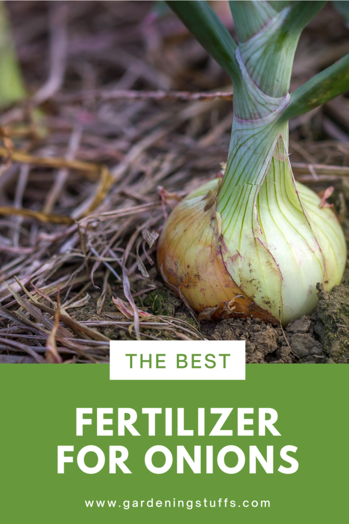 As onions grow underground, they need specific nutrients that should be present in your manure. This article will show you how to grow onions and share some tips on what to look out for when looking for the best fertilizer for onions. Getting to know the requirements for the growth of onions is further essential.  Learn more about gardening tips @ #GardeningStuffs