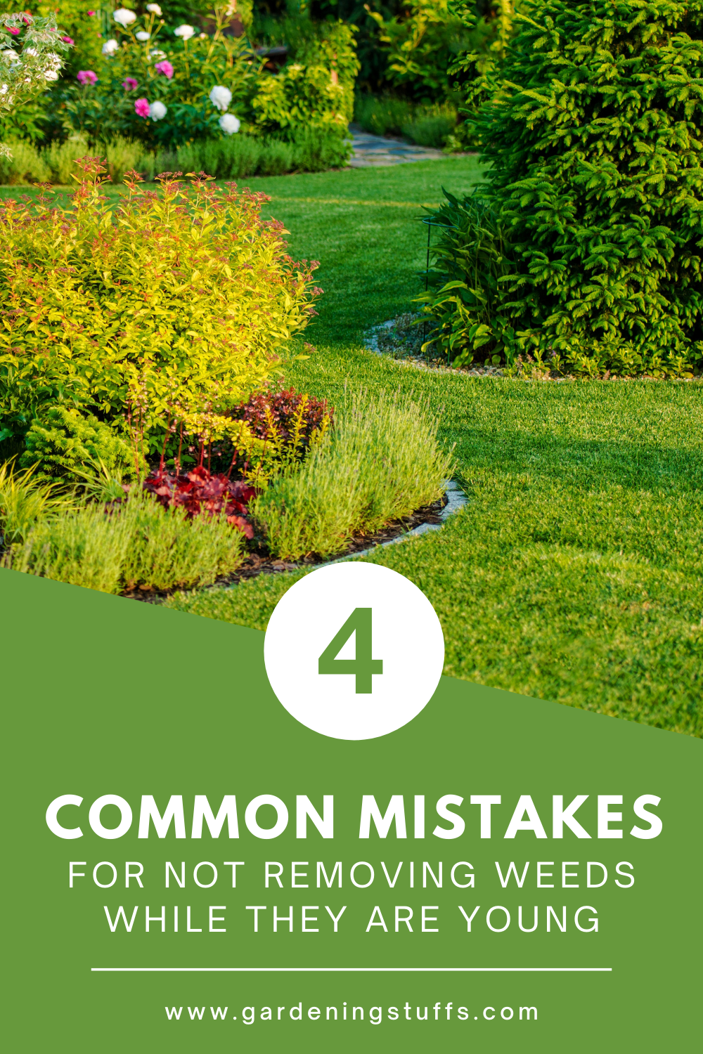 Weeds grow just like any other plants; therefore, when these weeds are young, inspect your garden regularly. Read on to know how to get rid of garden weeds and the common mistakes to avoid when the weeds are young.